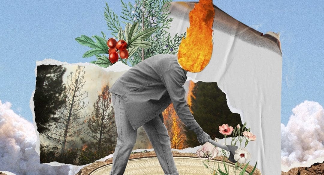 A collage of a man destroying nature