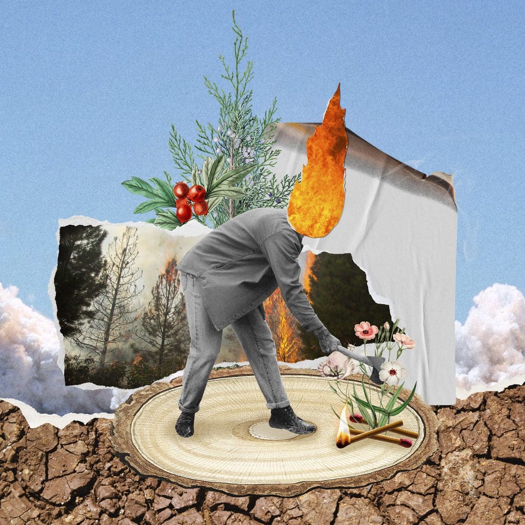 A collage of a man destroying nature